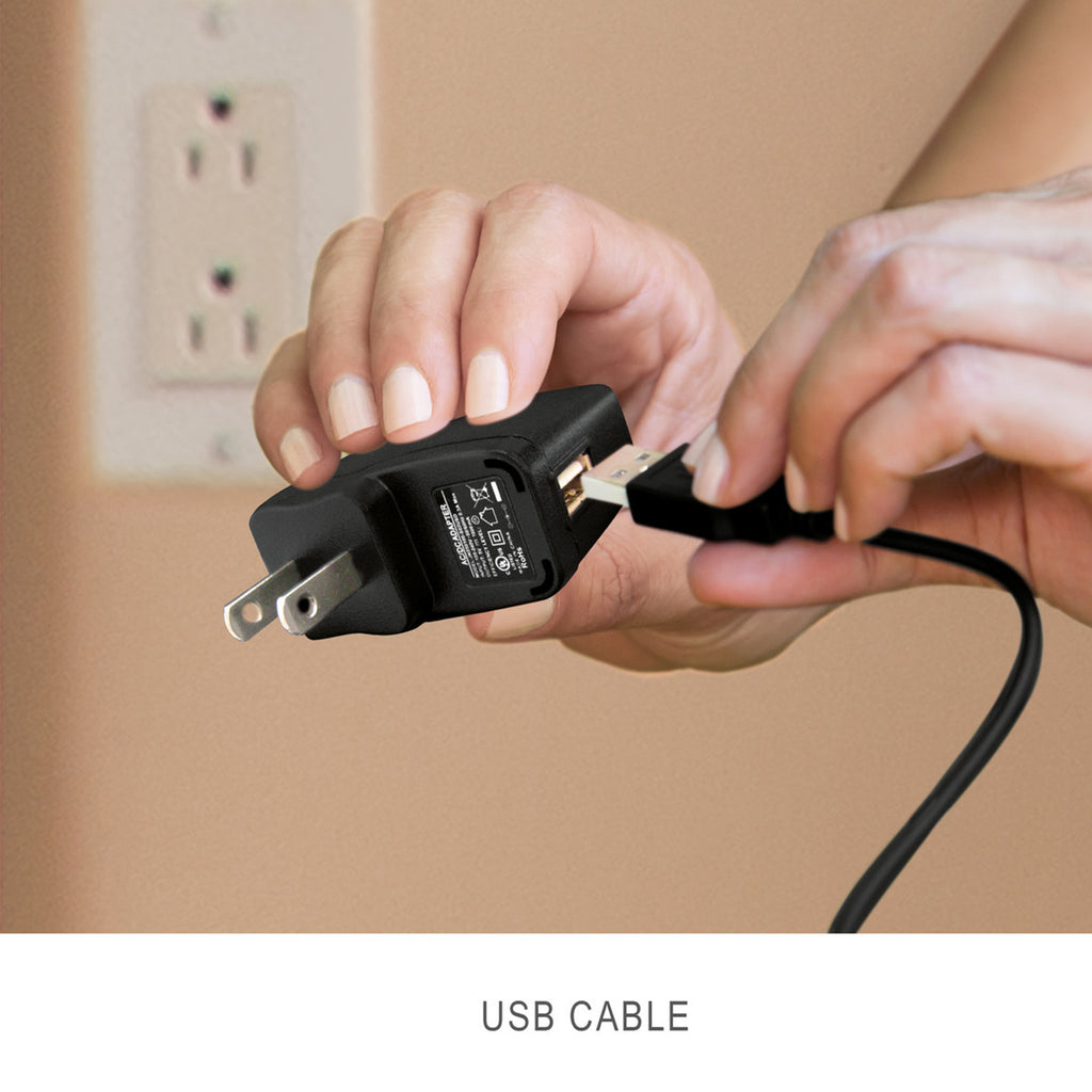 Pool And Spa Vacuum ZR100