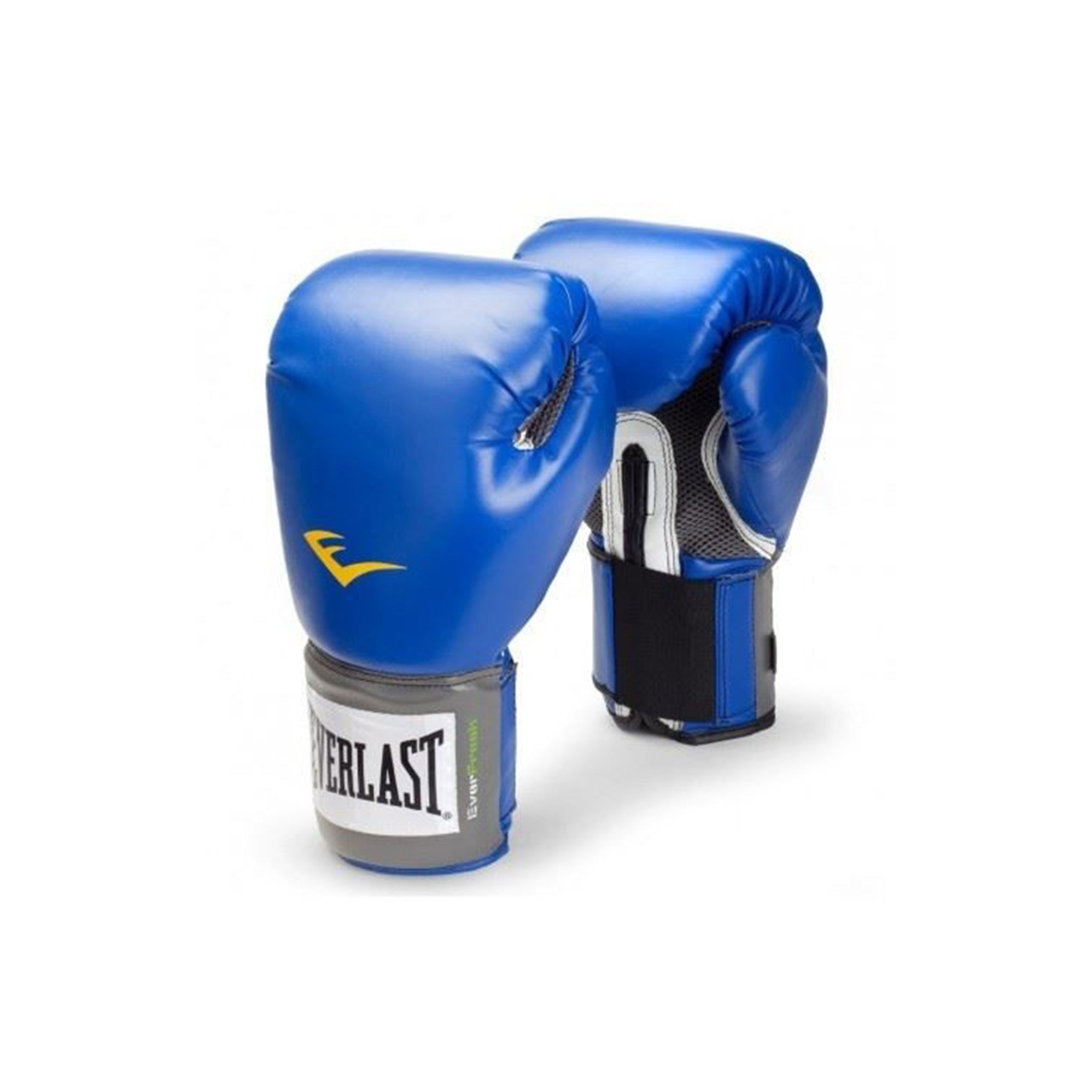 Boxing Gloves Everlast
