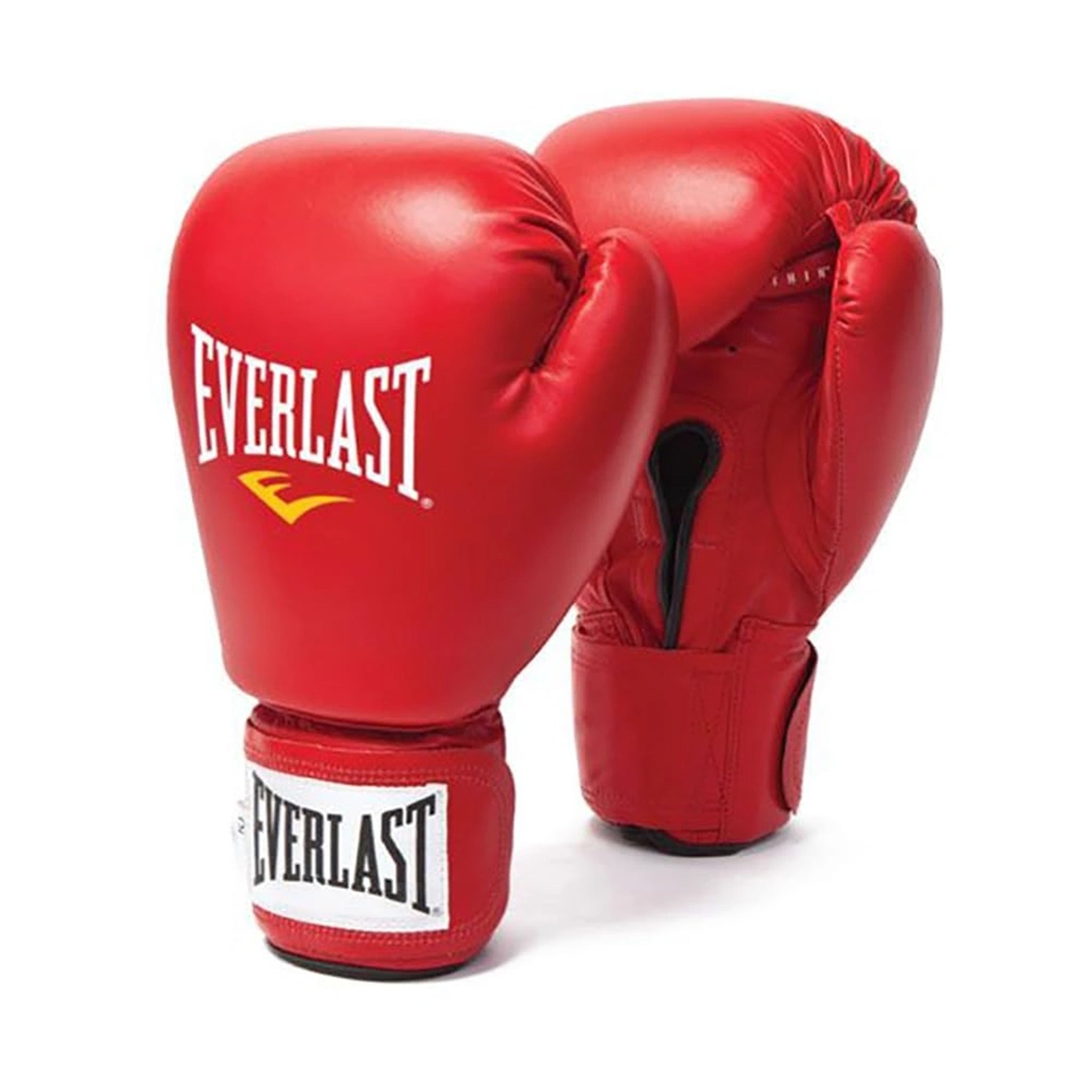 Boxing Gloves Everlast