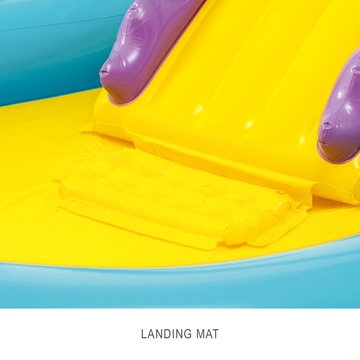 Dinoland Play Center Pool