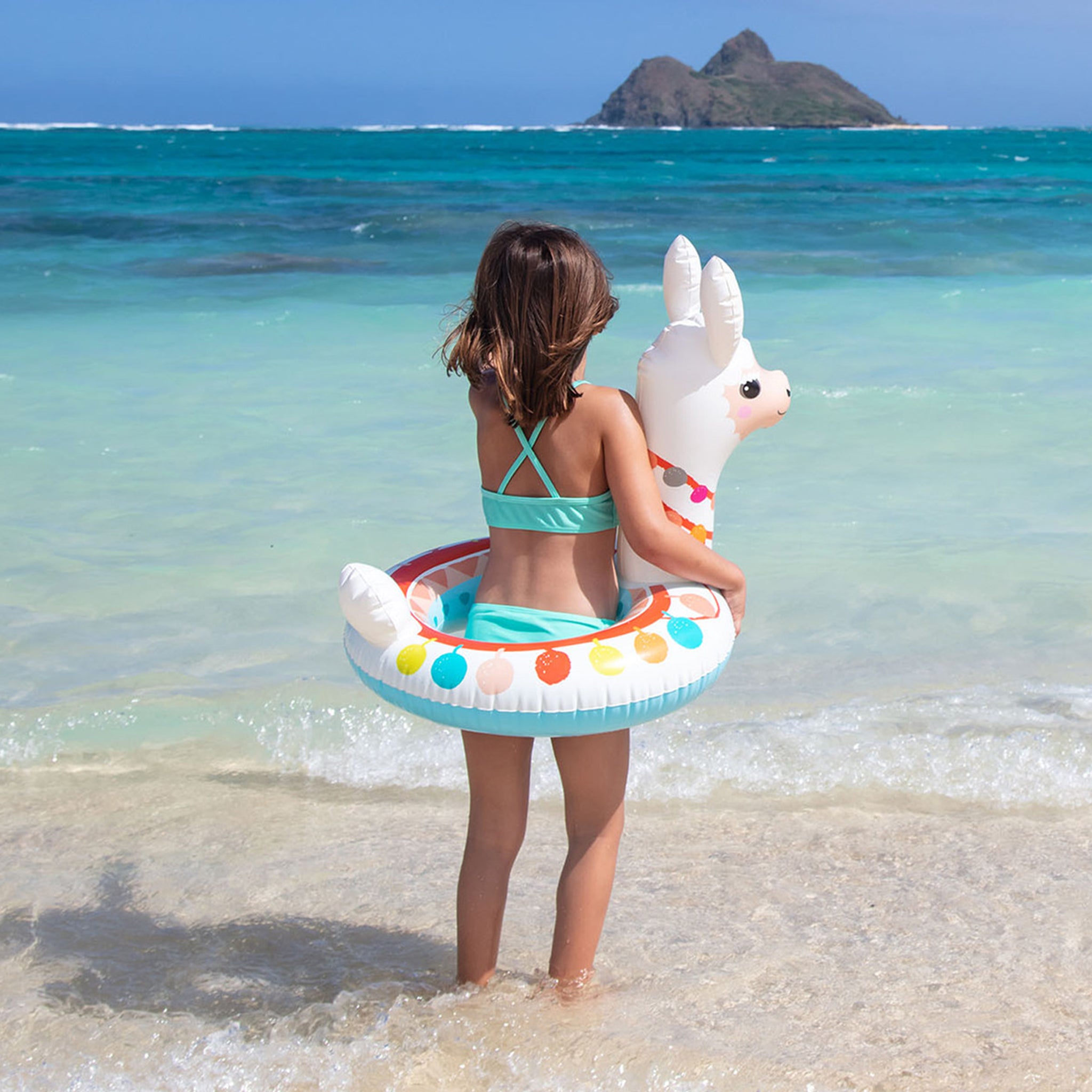 Big Animal Inflatable Swim Rings - Assortment