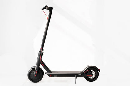 Electric Scooter (6AH)
